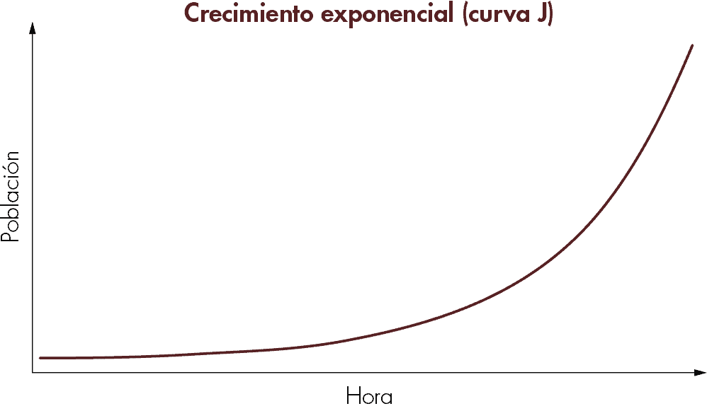 Modelando El Crecimiento De La Poblacion Watt Watchers De Texas