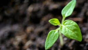 Sustainability and Conservation of Resources